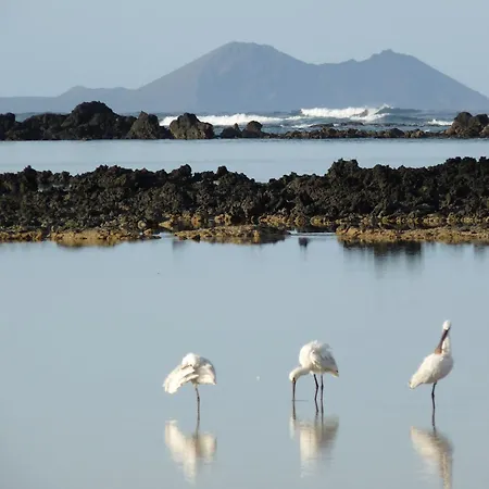 Enamorados Del Mar - Casa Ana Y El Mar - En Lanzarote Vakantiehuis Teguise (Lanzarote)