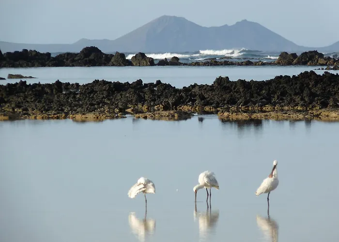 Casa Ana Y El Mar - Enamorados Del Mar - En Lanzarote Prázdninový dům Teguise (Lanzarote)